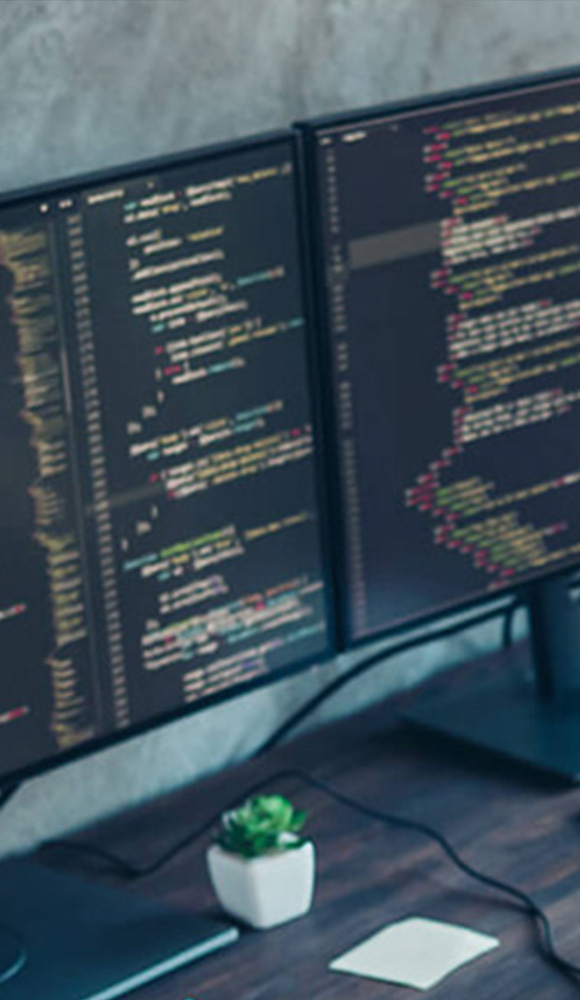 Technical<br>Due diligence